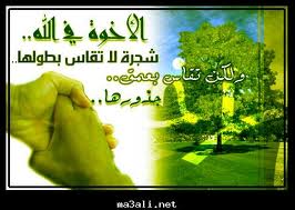 الأخوة الإيمانية